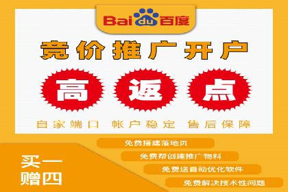 揭秘sem百度竞价背后的成功秘诀与案例